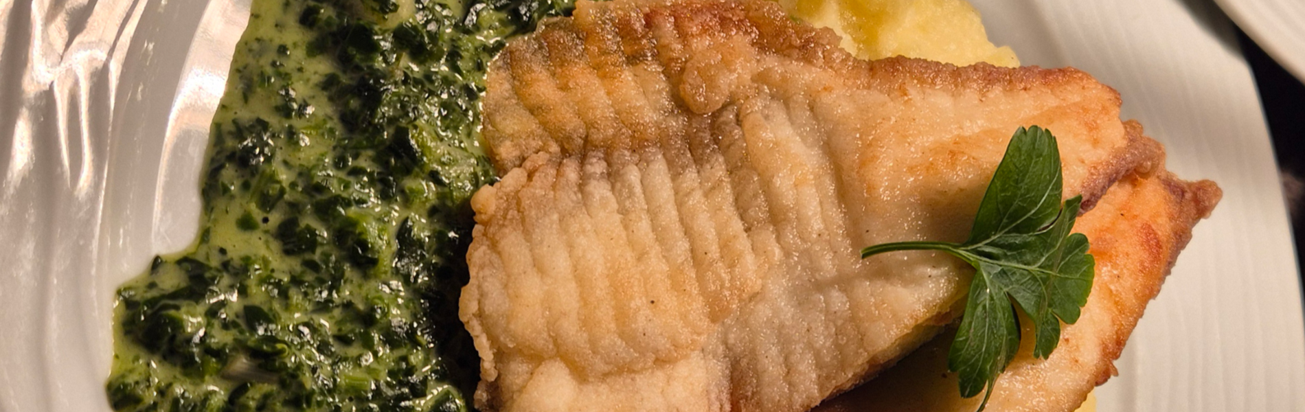 Weißes Welsfilet auf Rahmspinat und hausgemachtem Kartoffelpüree
