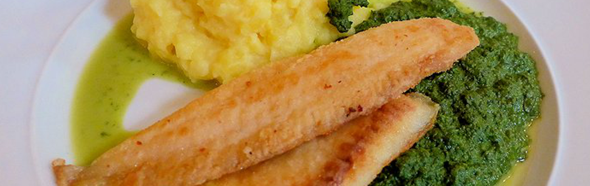 Weißes Welsfilet auf Rahmspinat und hausgemachtem Kartoffelpüree