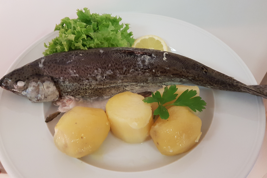 Fangfrische Forelle mit Gemüsestreifen gefüllt Blau dazu Salzkartoffeln