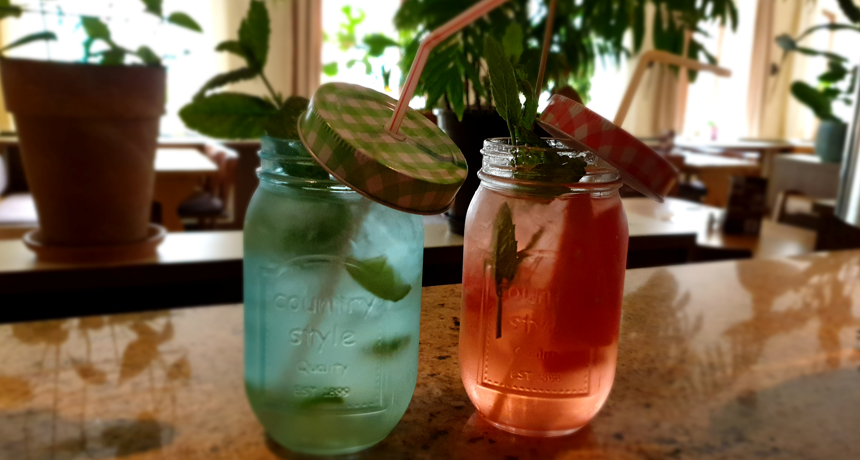 Hausgemachte Limonade Ingwer & Melone